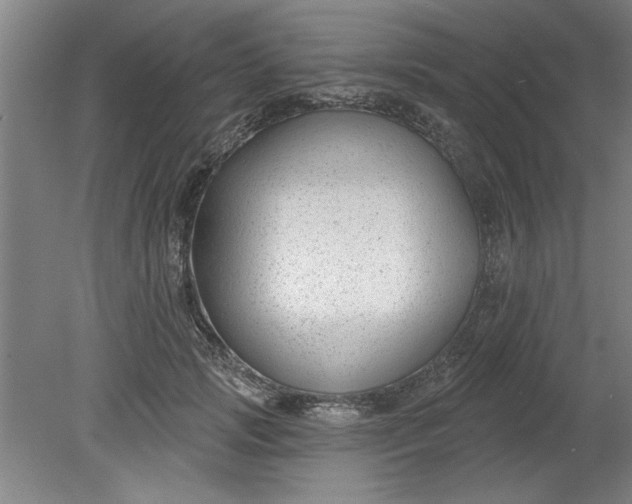 X0000080790749200701021224