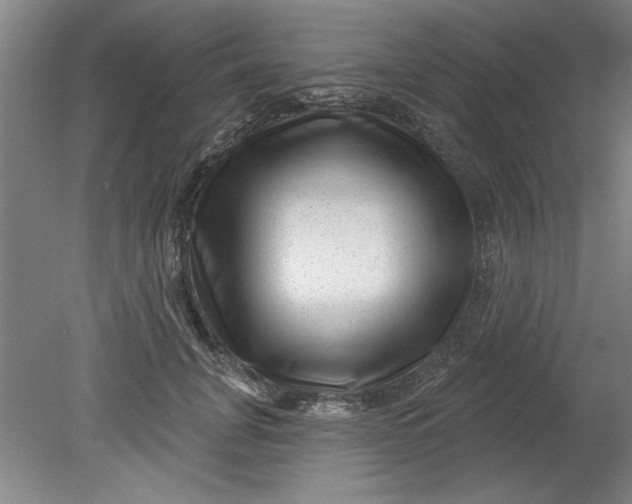 X0000080790751200701021224