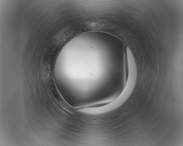 X0000080790752200701021224