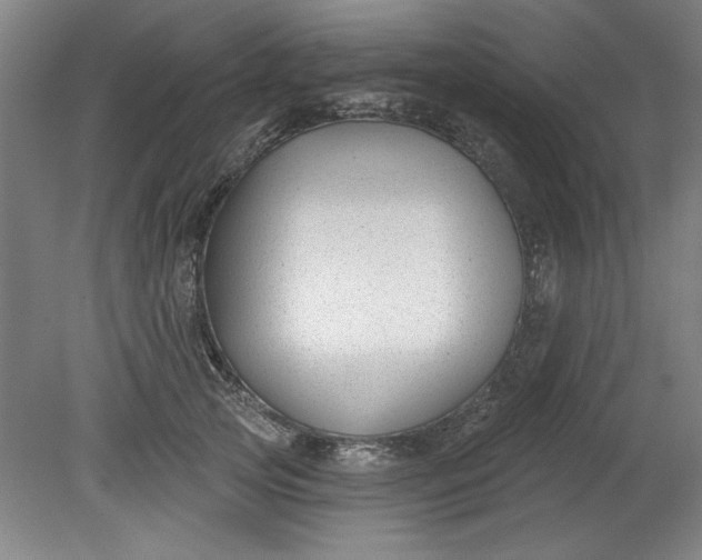 X0000080790753200701021224