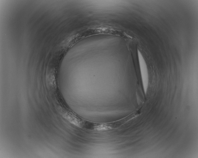 X0000080790754200701021224