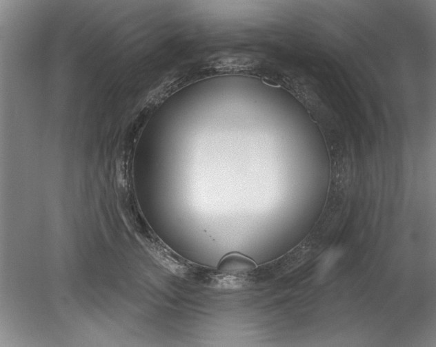X0000080790755200701021224