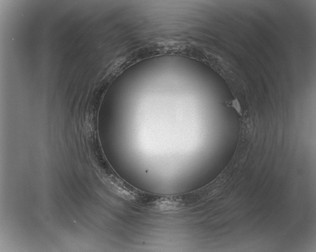 X0000080790756200701021224