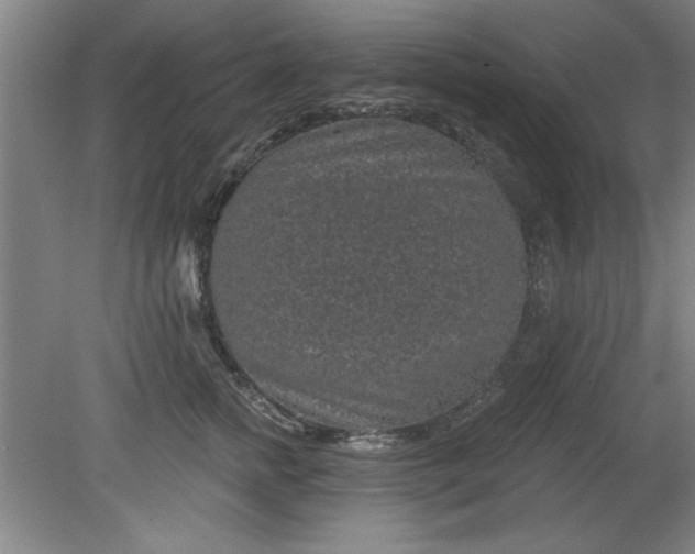 X0000080790758200701021224