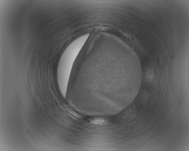 X0000080790759200701021224