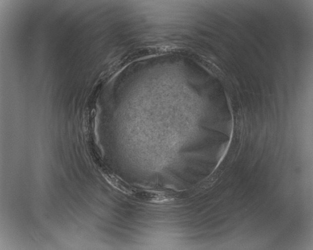 X0000080790760200701021224