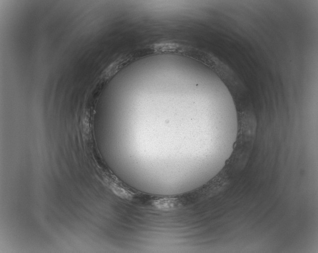 X0000080790761200701021224