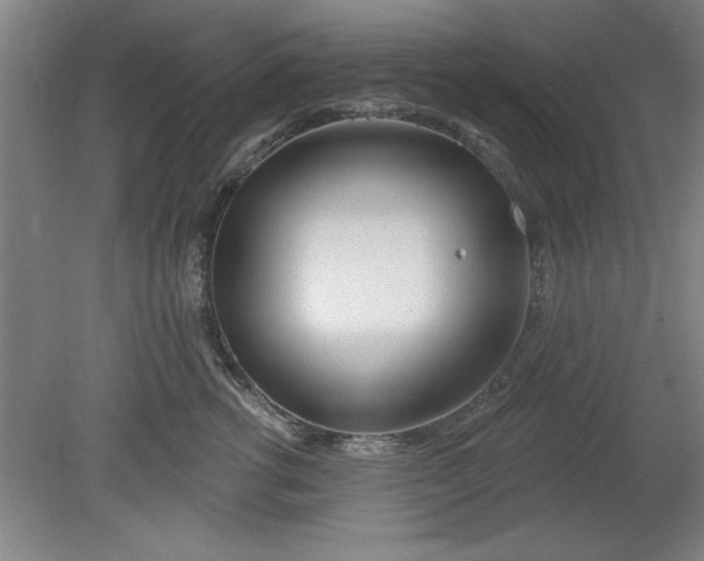 X0000080790762200701021224