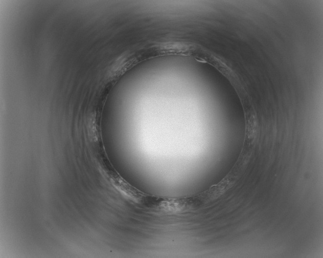 X0000080790764200701021224