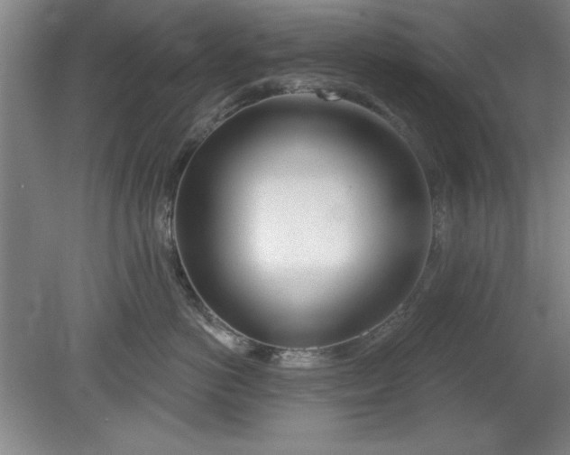 X0000080790766200701021224