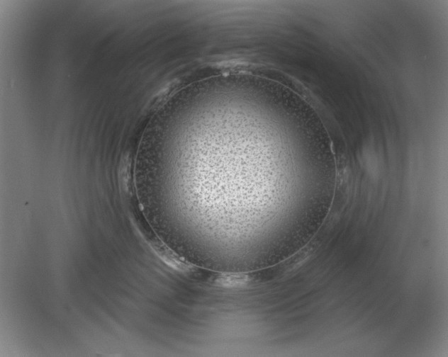 X0000080790767200701021224
