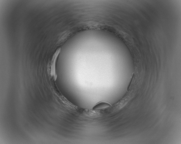 X0000080790768200701021224