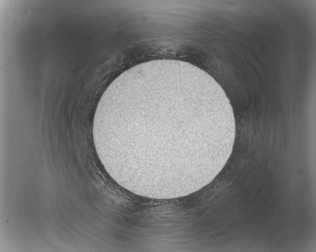 X0000080790769200701021223