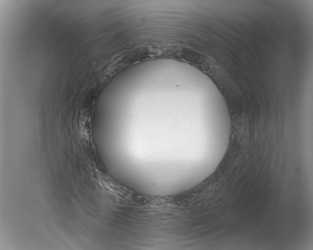 X0000080790770200701021223