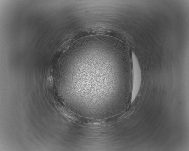X0000080790771200701021223