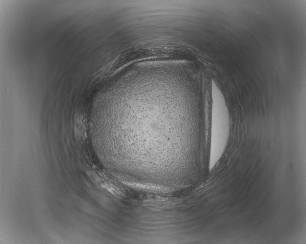 X0000080790772200701021223