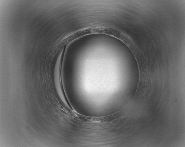 X0000080790773200701021223