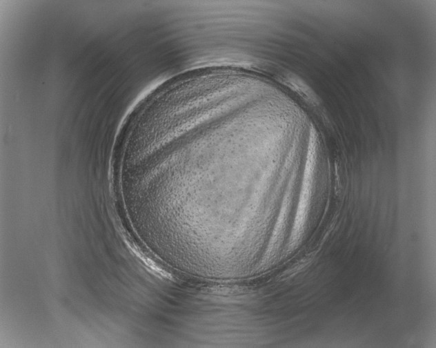 X0000080790780200701021223