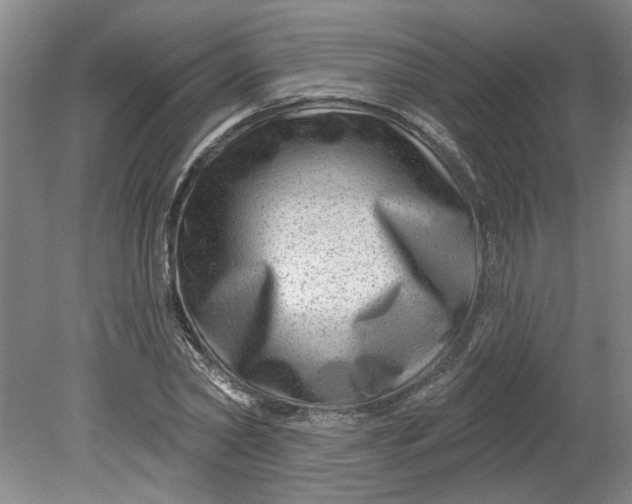 X0000080790782200701021223