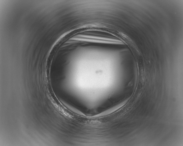 X0000080790784200701021223