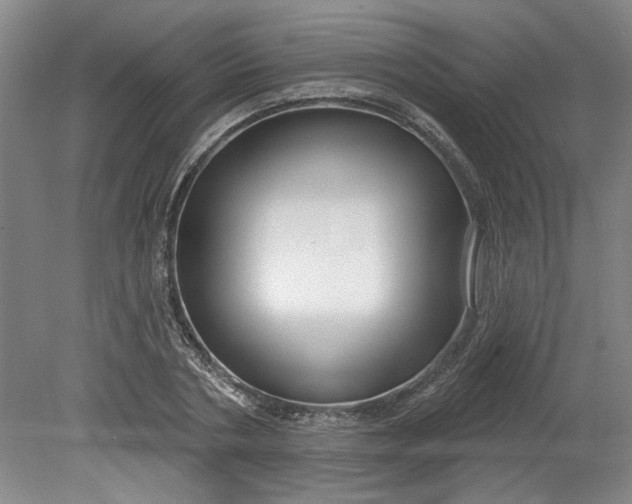 X0000080790786200701021223