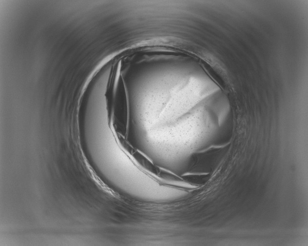 X0000080790792200701021223
