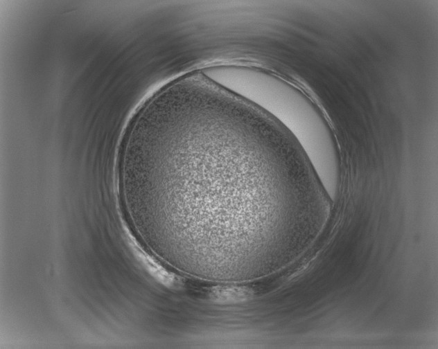 X0000080790795200701021223