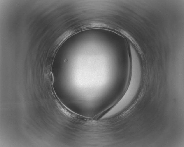 X0000080790801200701021222