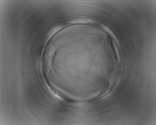 X0000080790802200701021222