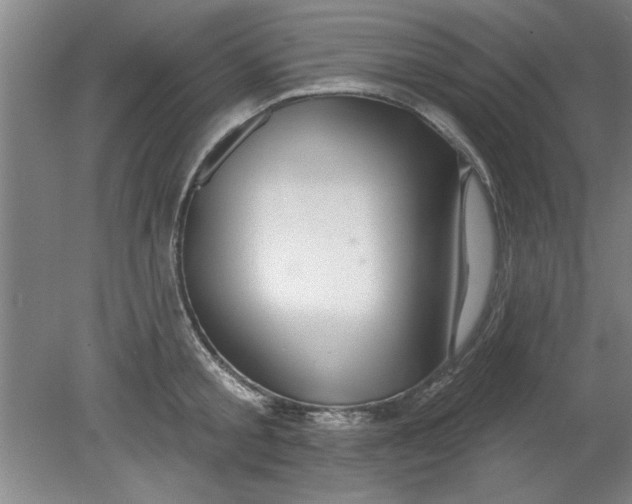 X0000080790805200701021222