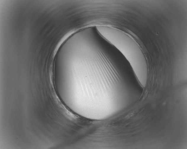 X0000080790812200701021222
