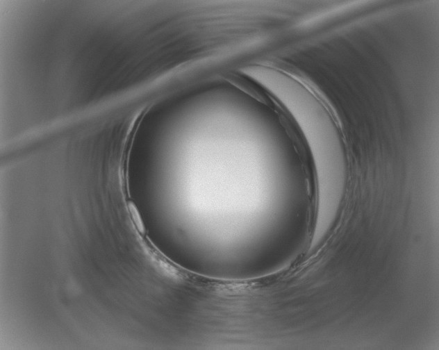 X0000080790813200701021222