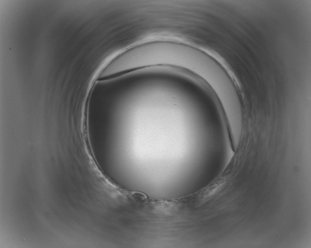 X0000080790815200701021222
