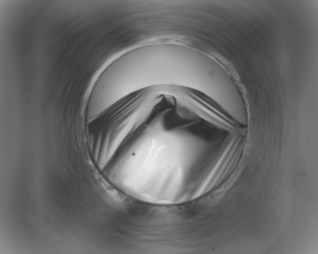 X0000080790816200701021222