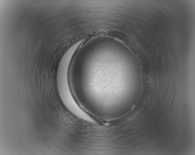 X0000080790818200701021221