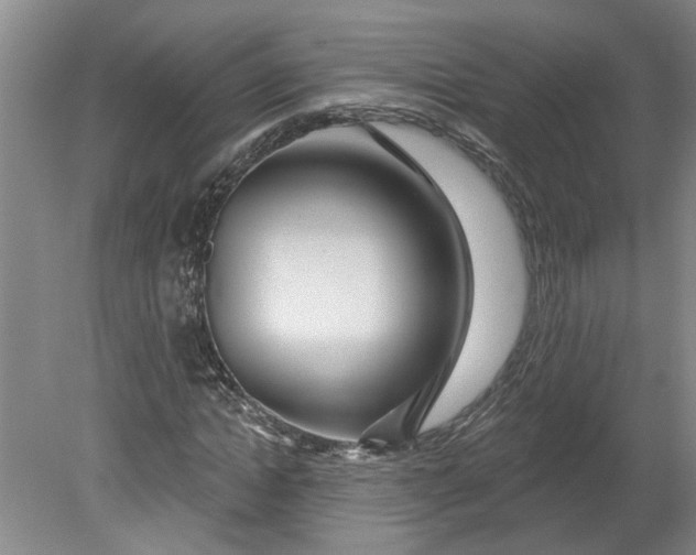 X0000080790822200701021222
