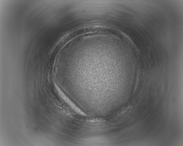 X0000080790823200701021222