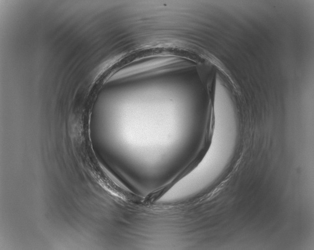X0000080790826200701021222