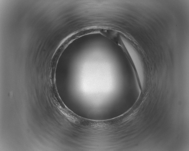 X0000080790830200701021222