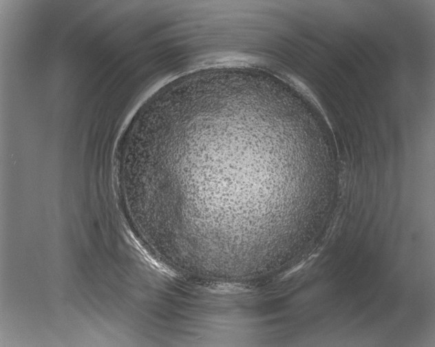 X0000080790835200701021222