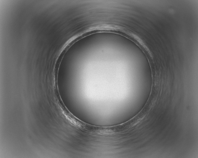X0000080790837200701021222