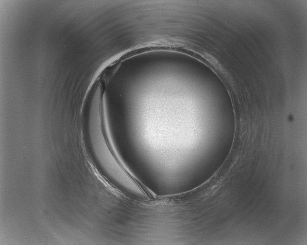 X0000080790838200701021222