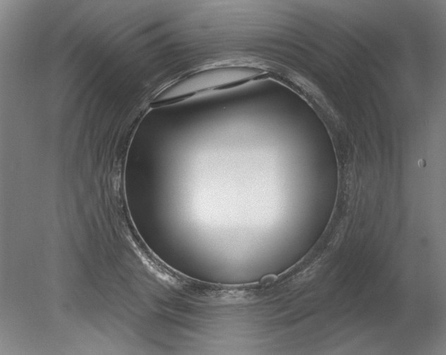 X0000080790841200701021222