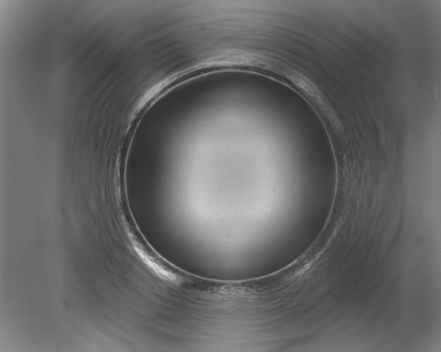 X0000080790842200701021222