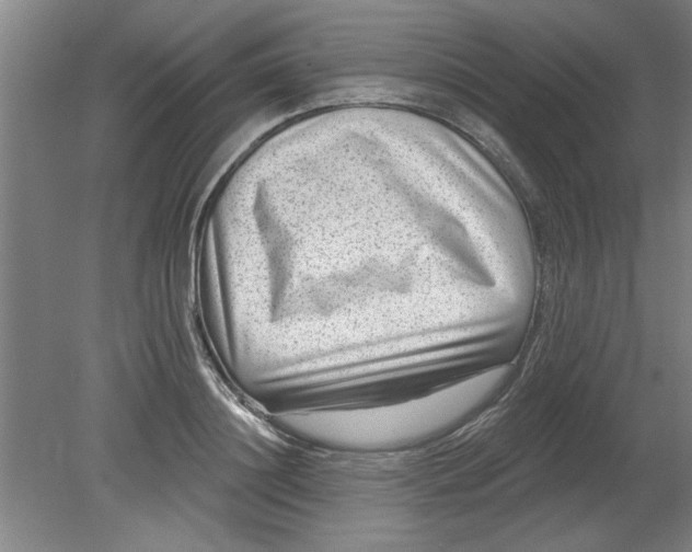 X0000080790844200701021222