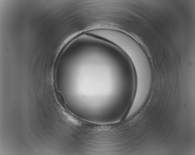 X0000080790846200701021222