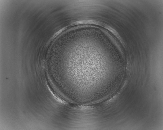 X0000080790849200701021222