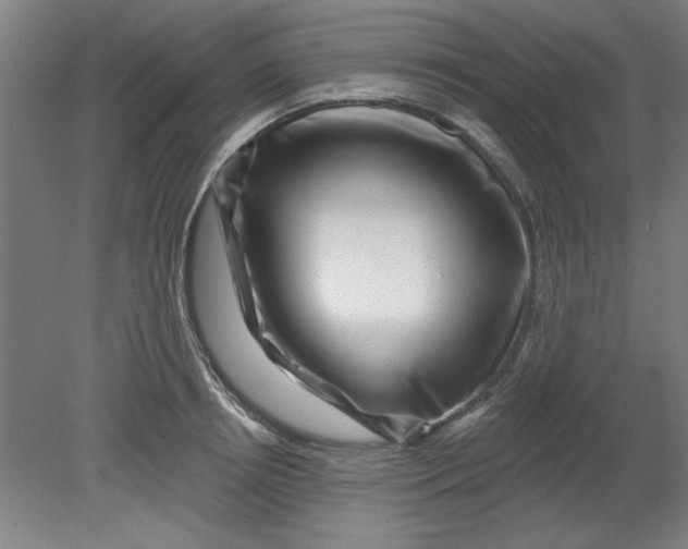 X0000080790850200701021222