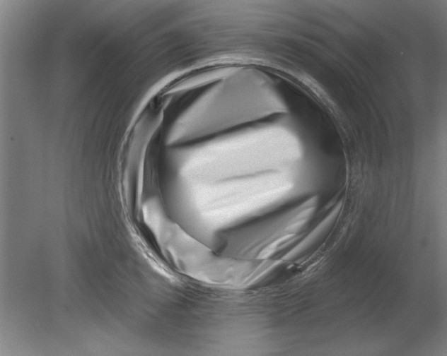 X0000080790854200701021222