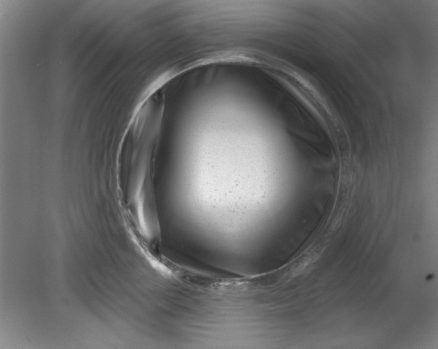 X0000080790858200701021222